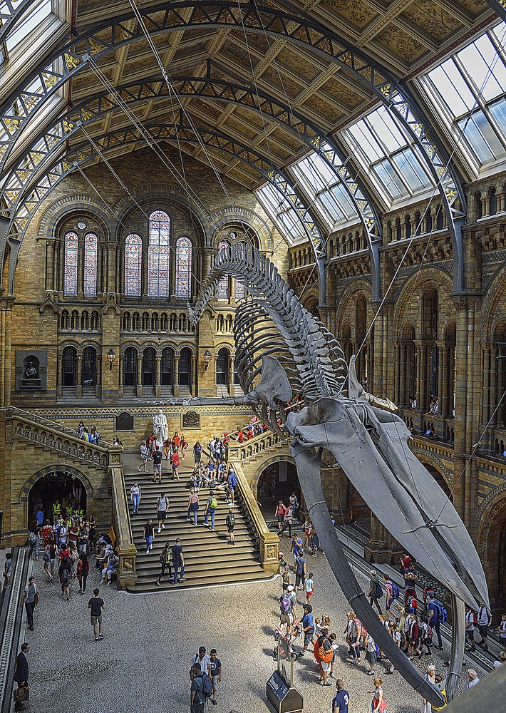 Natural History Museum