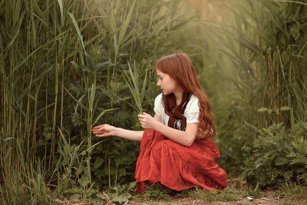 Здравствуй, лето!