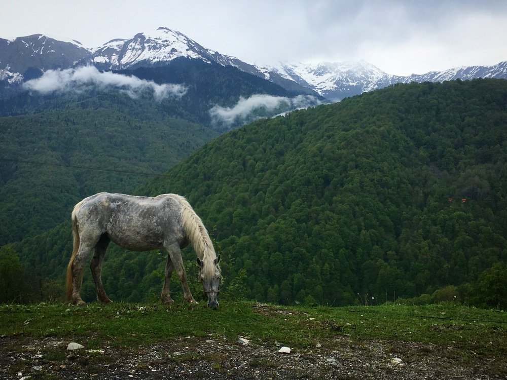 В горах северного Кавказа