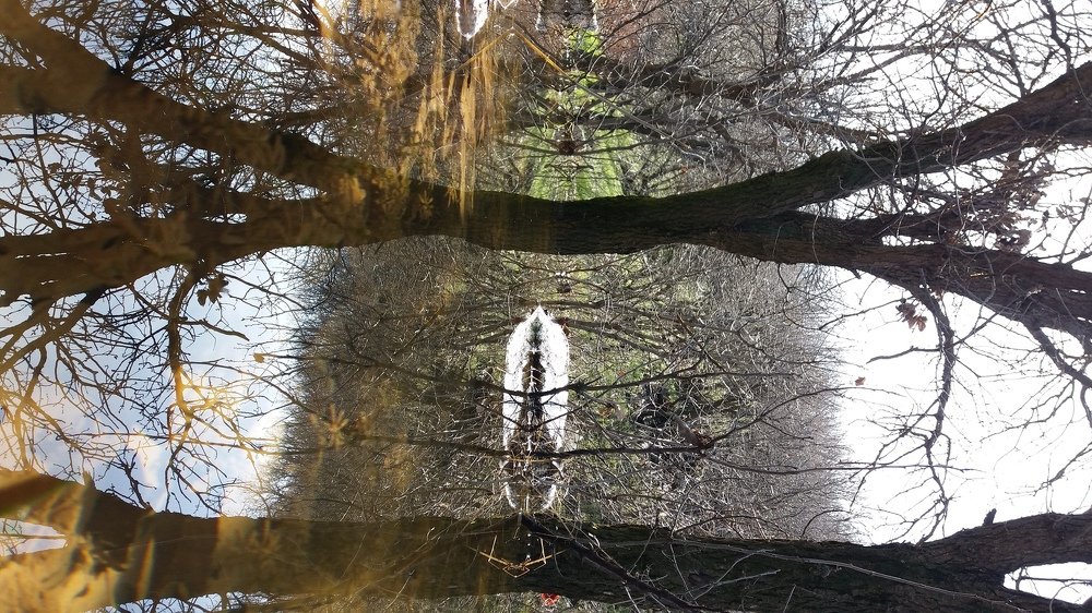Spring in my village.
