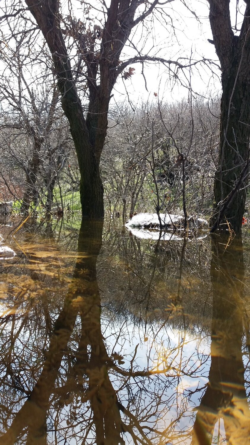 Spring in my village.