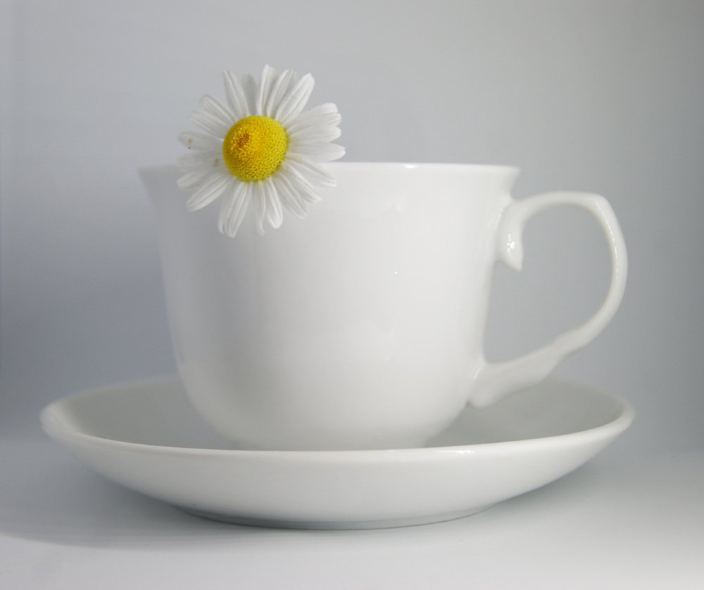 Этюд в белых тонах