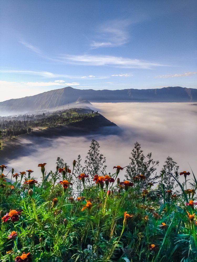 Beautiful Morning Around Bromo Mountain