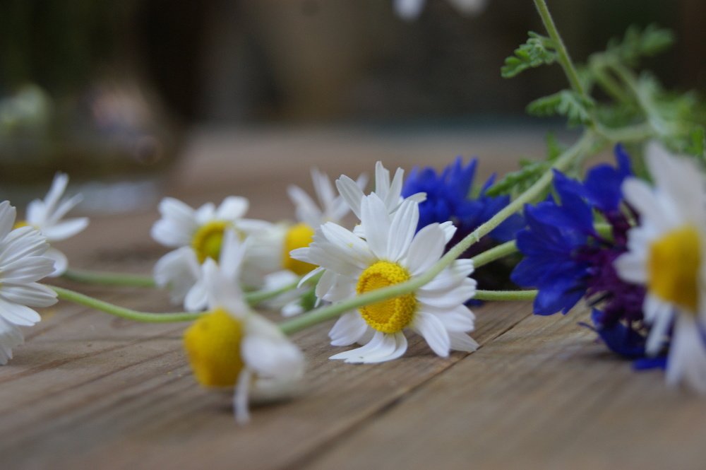 Летнее настроение