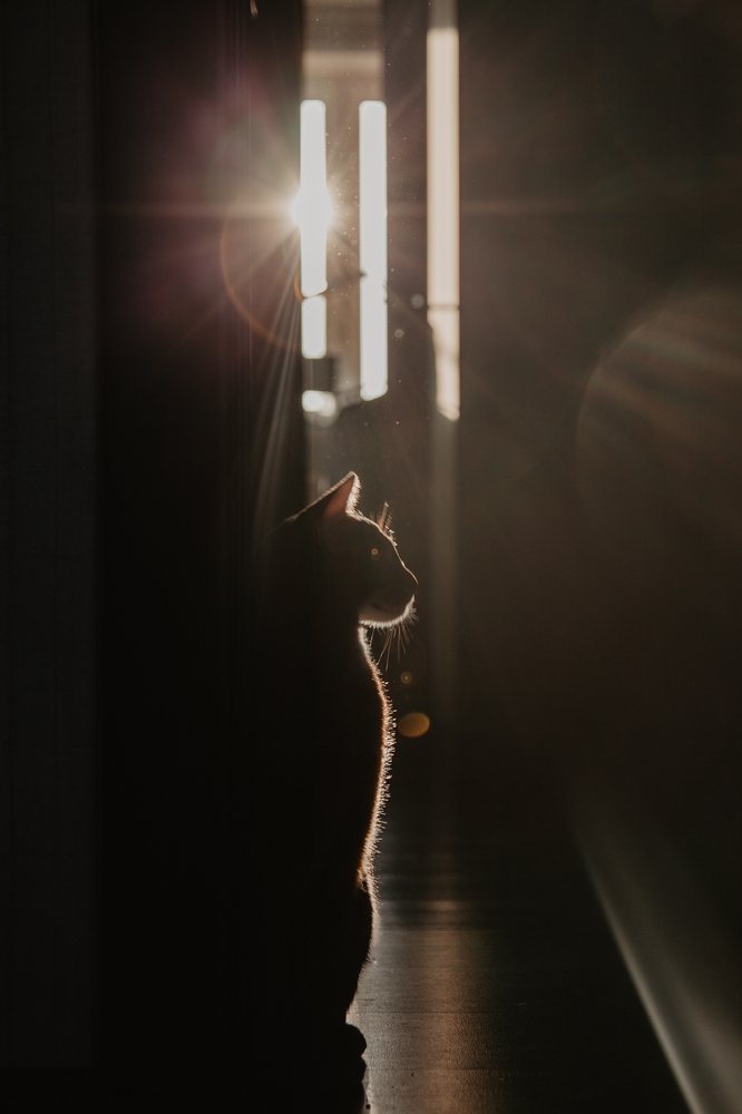 Photograph by Медана Марченко