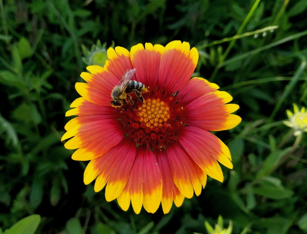 Photograph by Дмитрий Пропастин