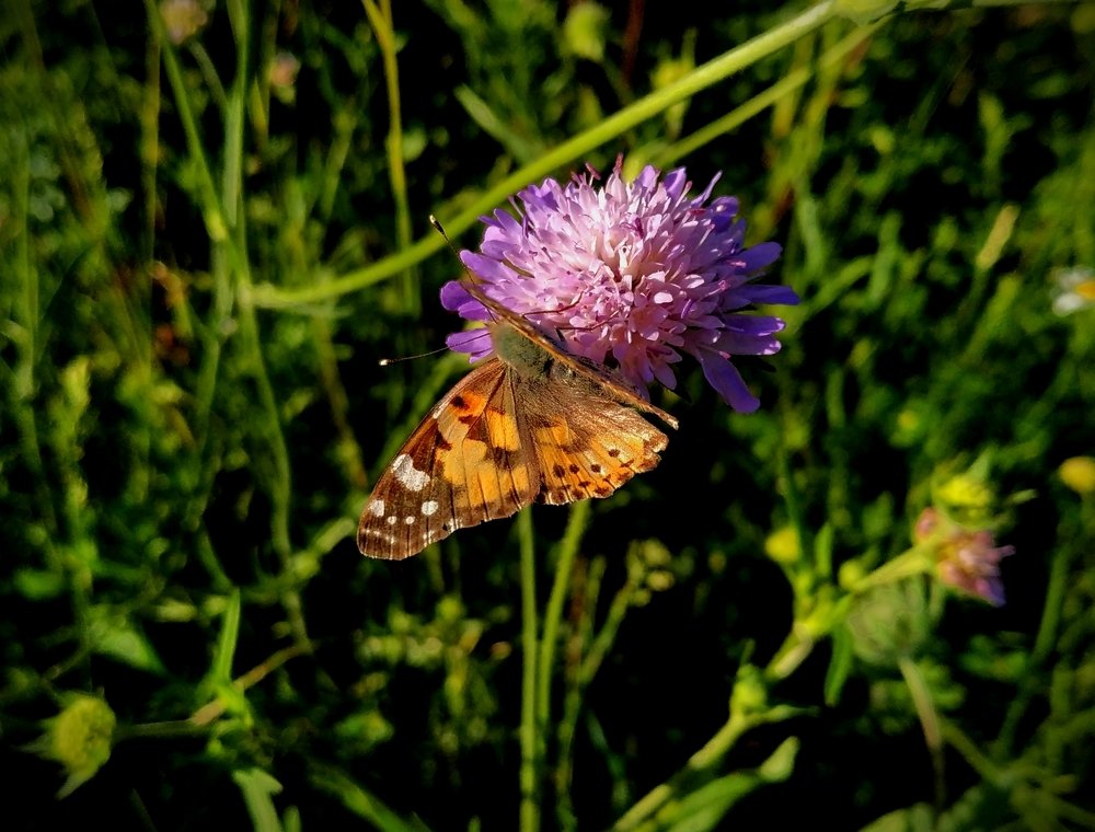 Photograph by Дмитрий Пропастин
