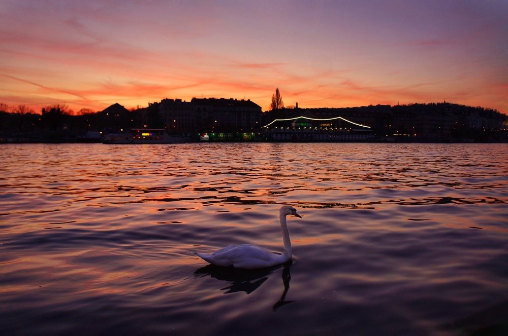 Wonderful sunset in Prague