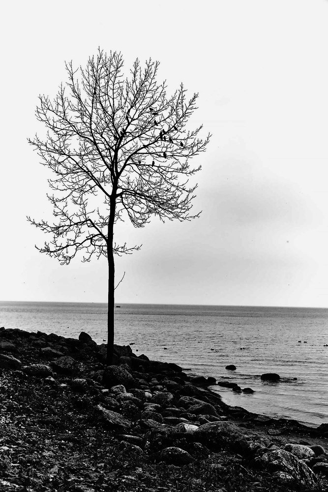 Одиночество