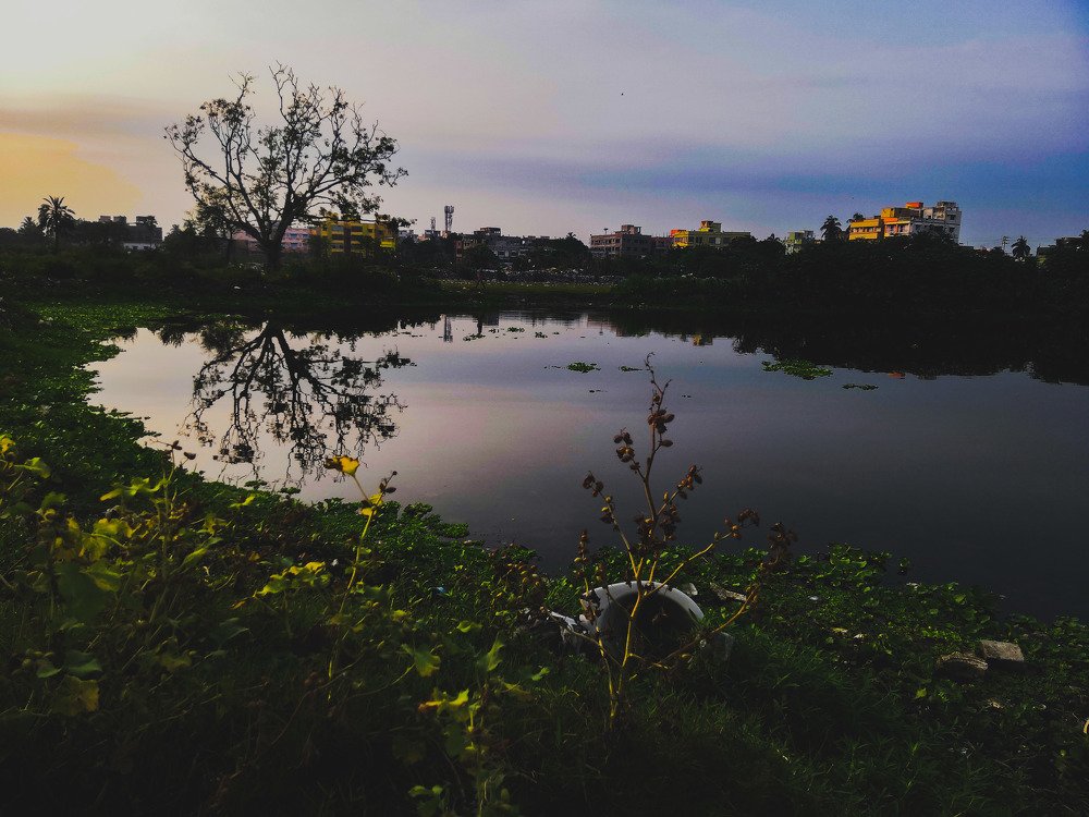 The another Side  of the Nature