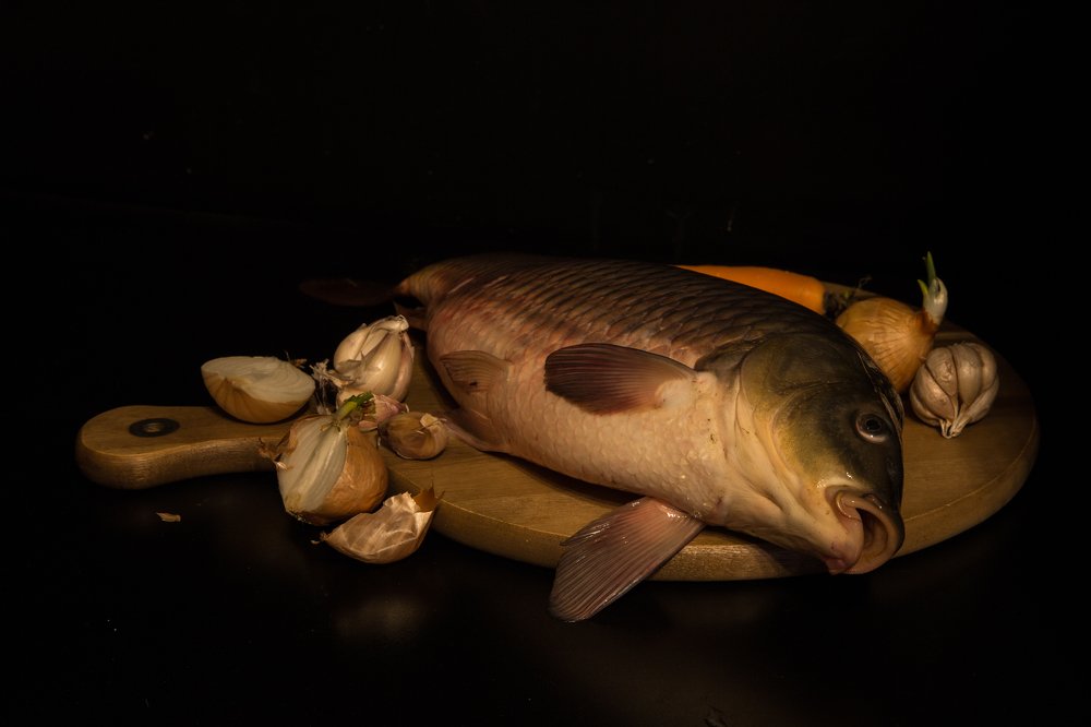 fish