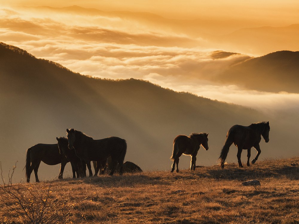 Sunrise from the Kobylini Walls