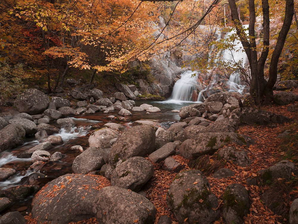 Popina Laka autumn time