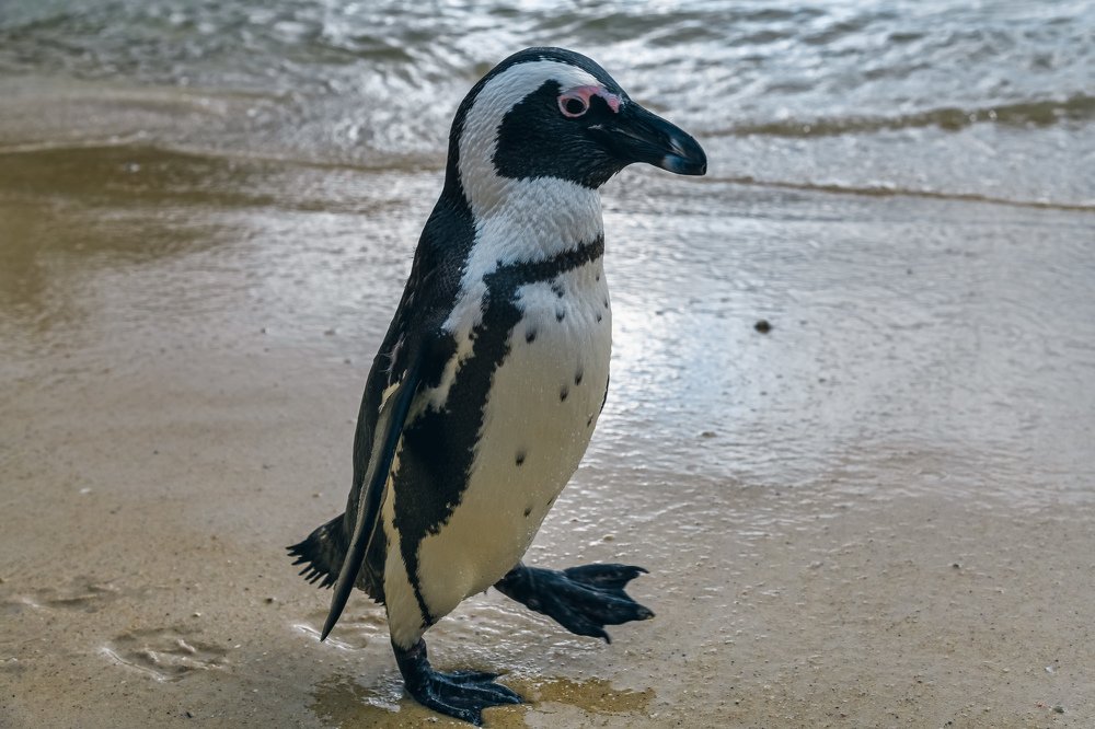 Photograph by Дмитрий Ильин