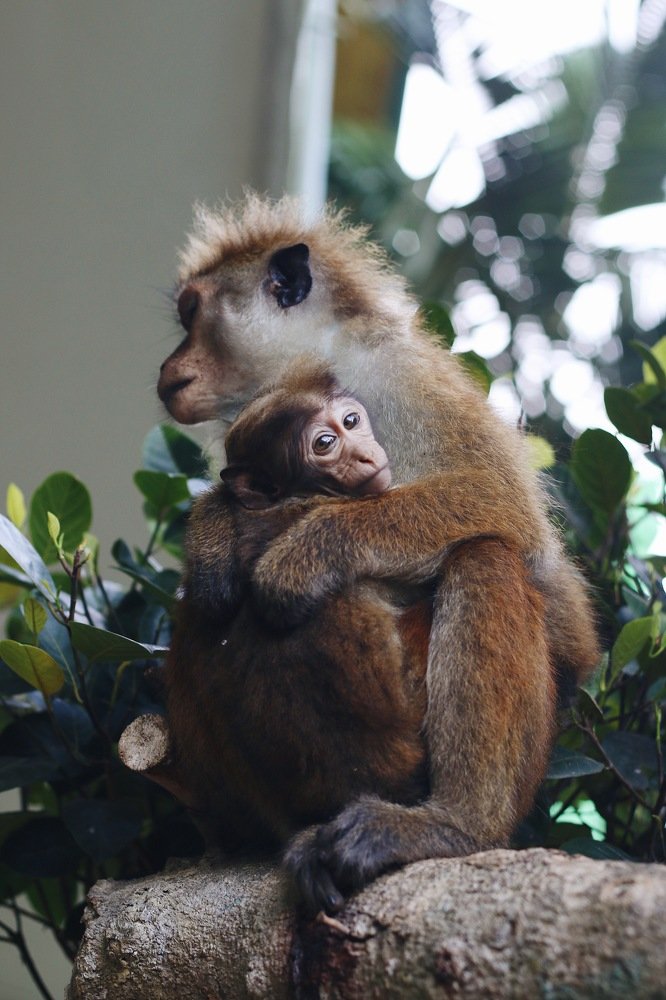 Photograph by Аида Фай