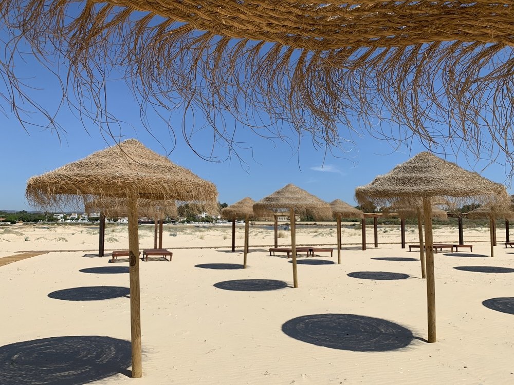 Beach umbrellas with their shadows