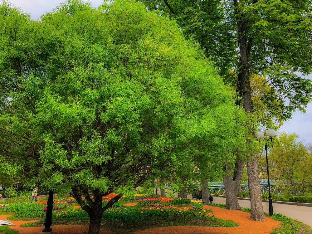 Гомель. Парк Румянцевых-Паскевичей