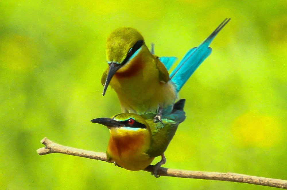 For continuity of life