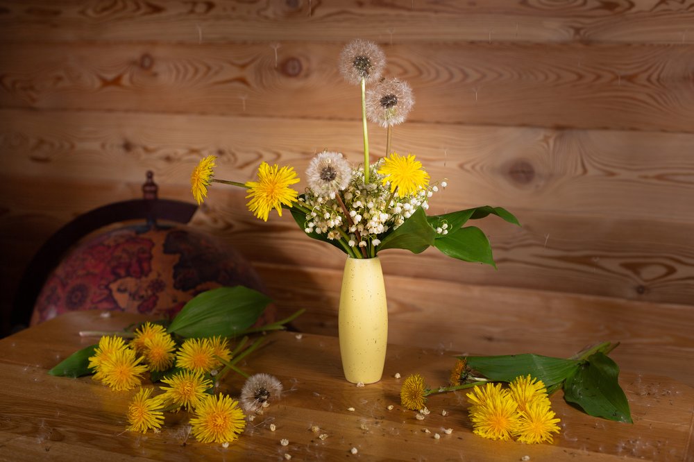 Одуванчики