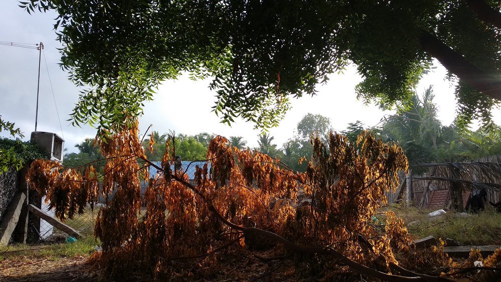 Nature Photography