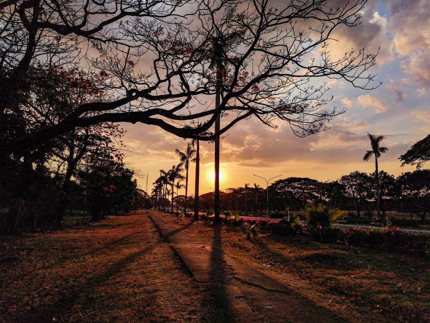 Beautiful Sunset