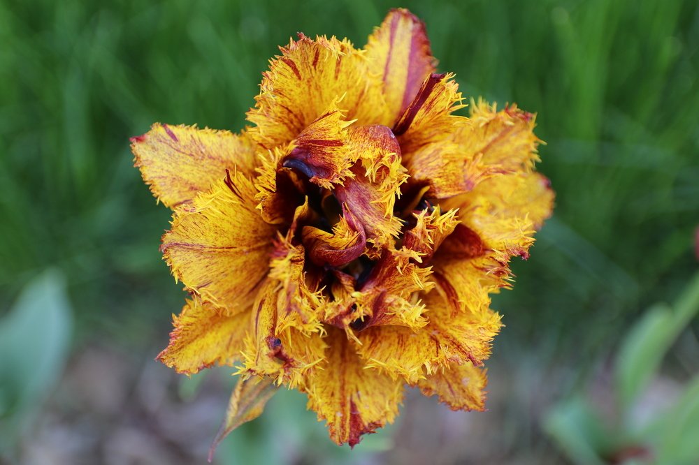 Photograph by Ekaterina