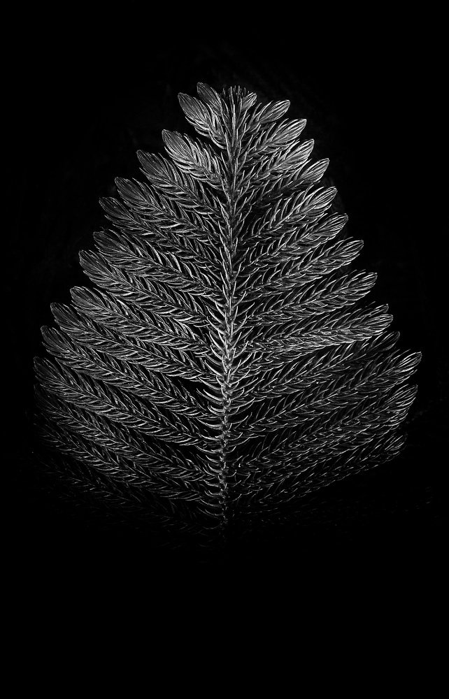 Фотография автора Arul prakash.A