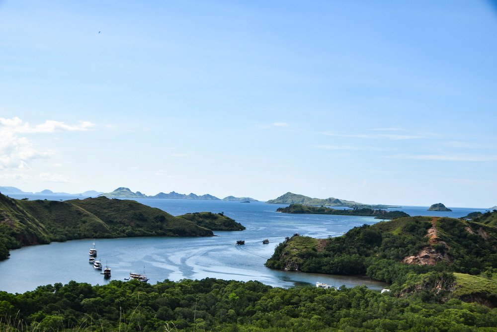 Rinca Island, East Nusa Tenggara, Indonesia..