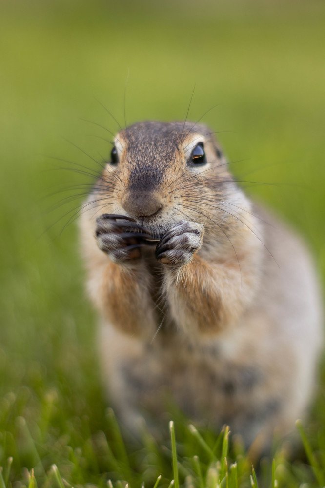 Photograph by Терентьев Георгий