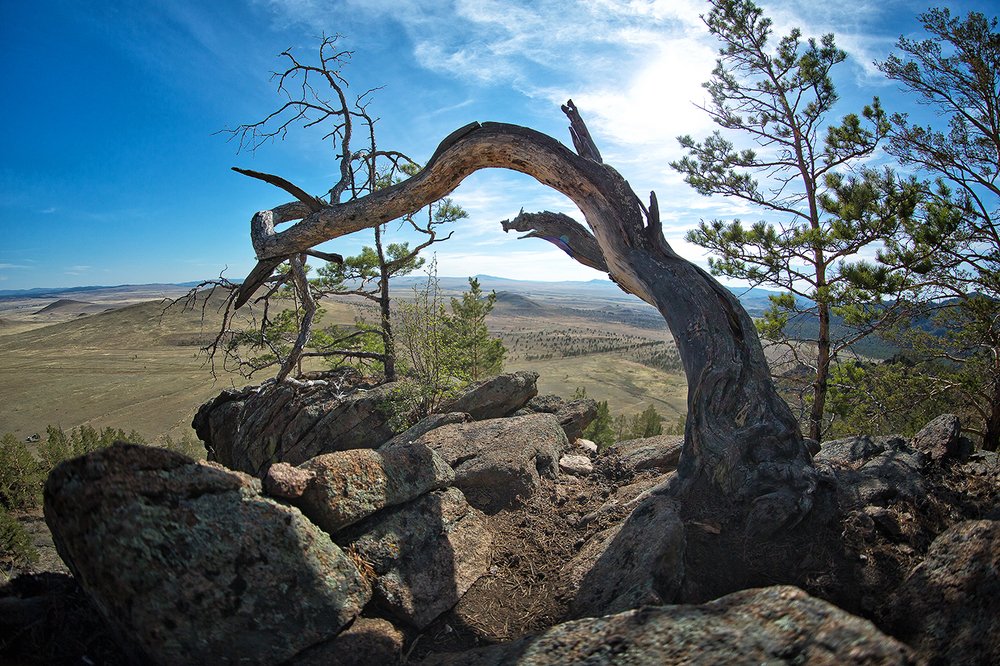 Жизнь после жизни