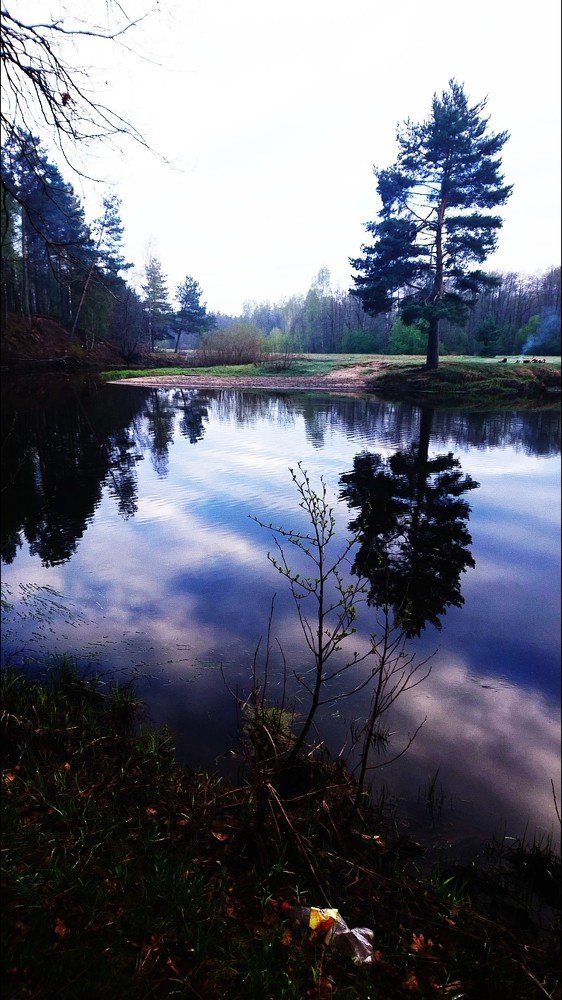 Photograph by Алёна Монахова