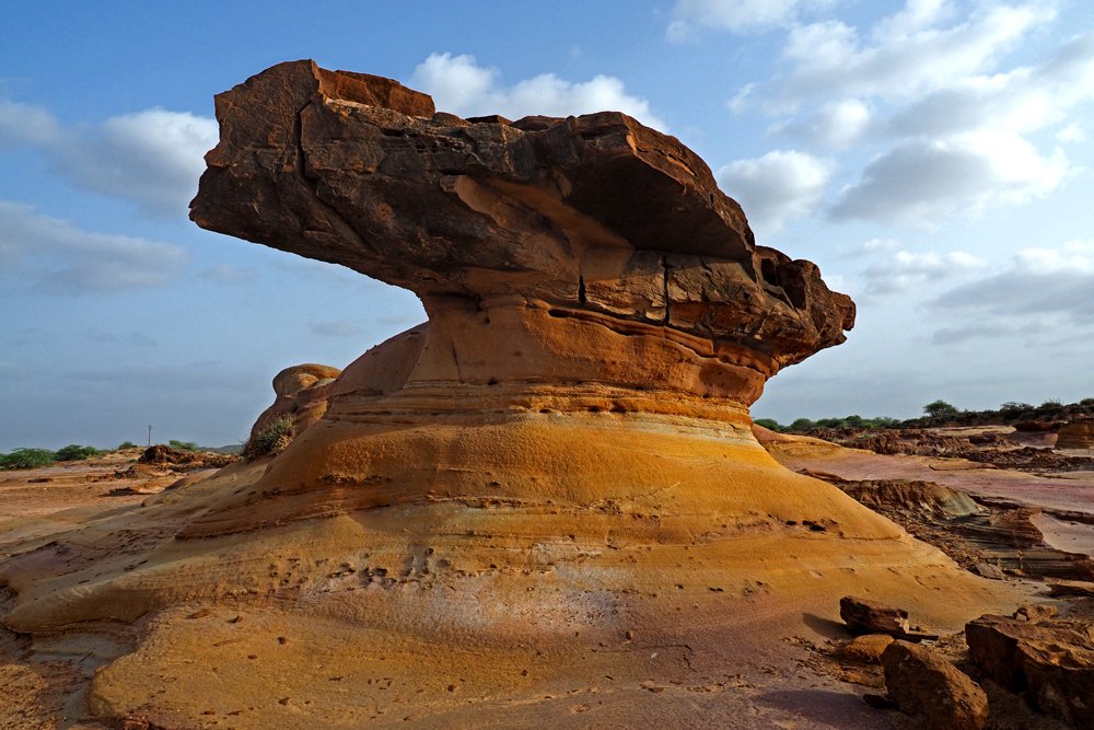 The Prehistoric Fossil River-