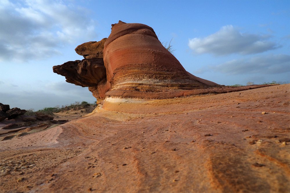 The Prehistoric Fossil River--