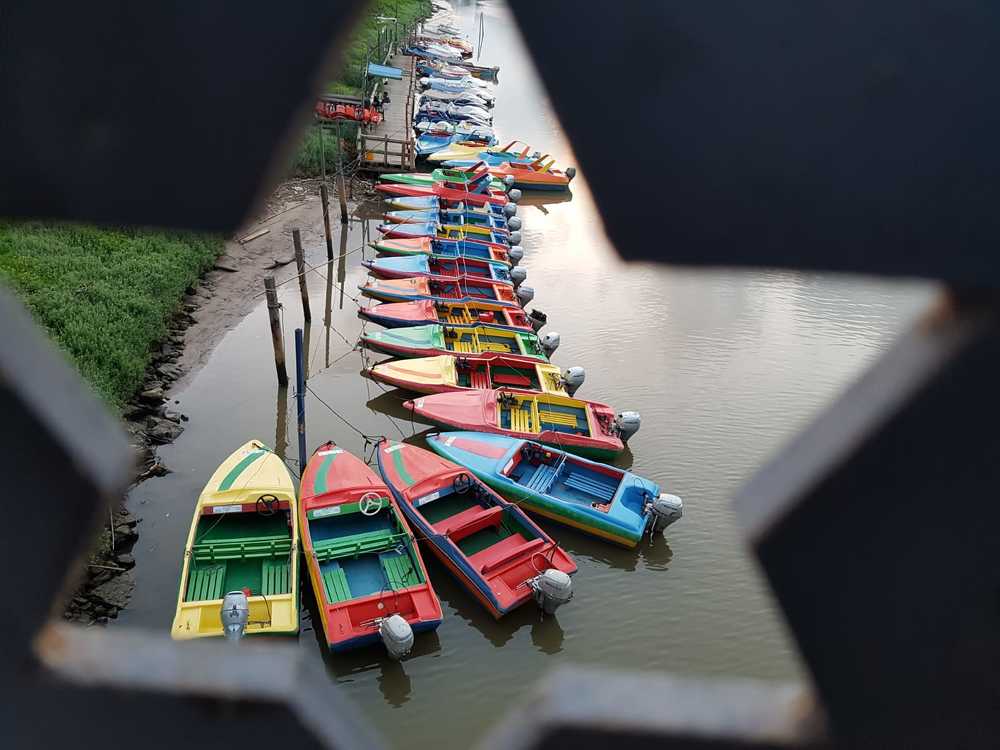 in search of the harbor