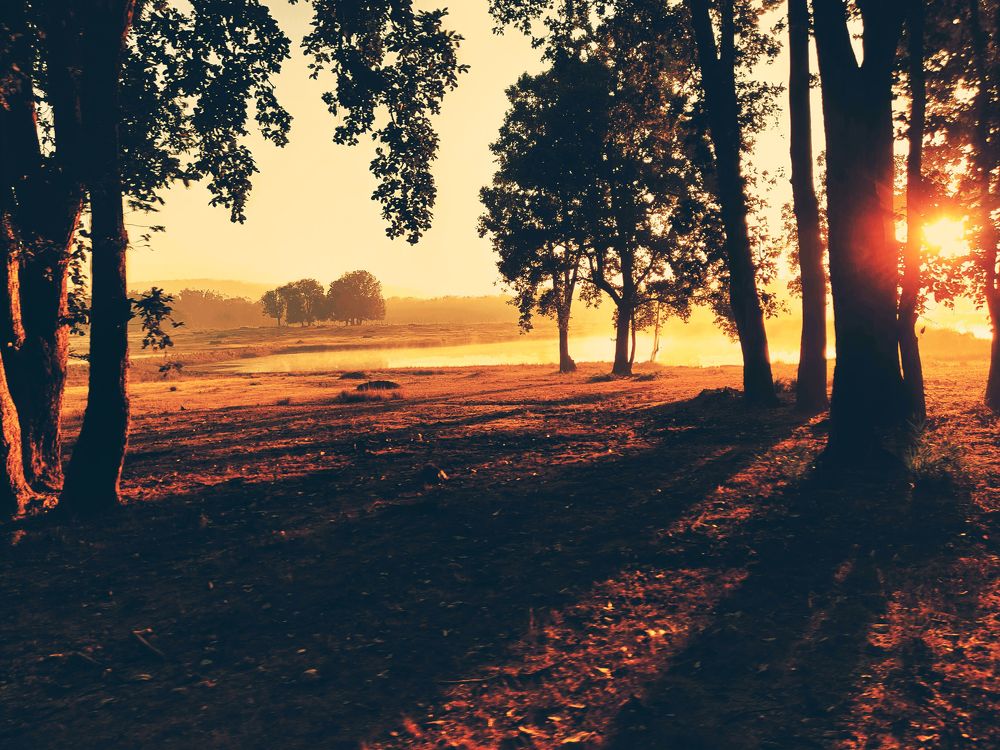 LAST SUNRISE OF 2018