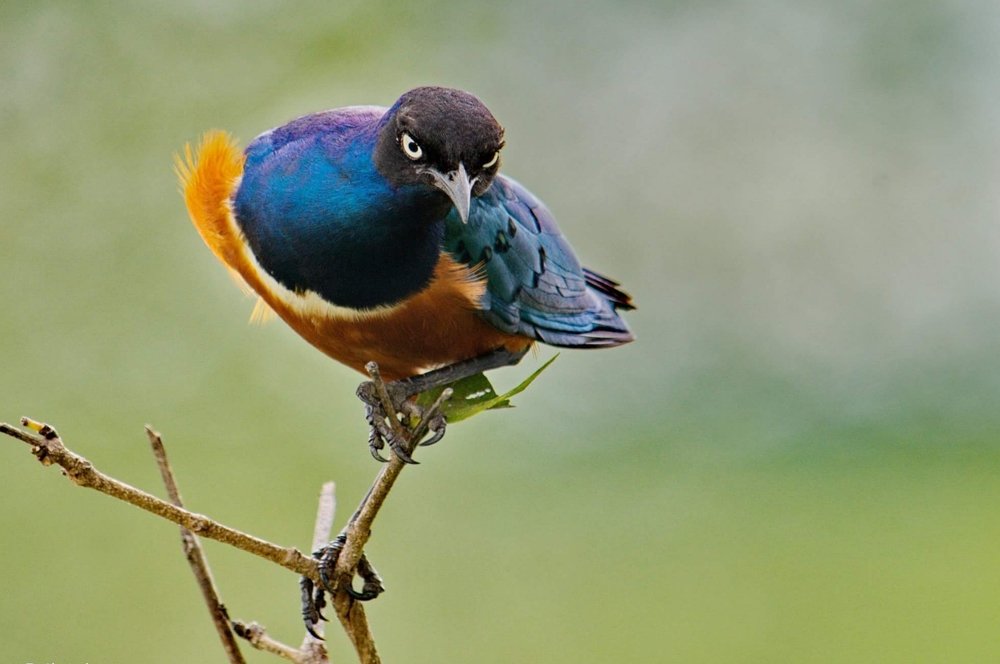 Photograph by Lev Prilutsky