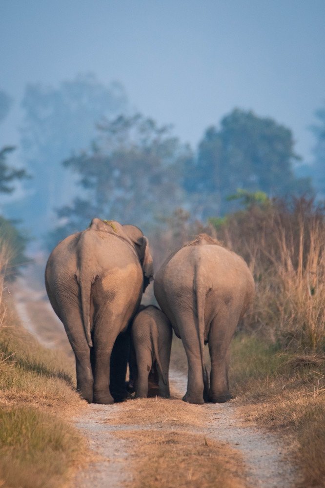 Bonded with love