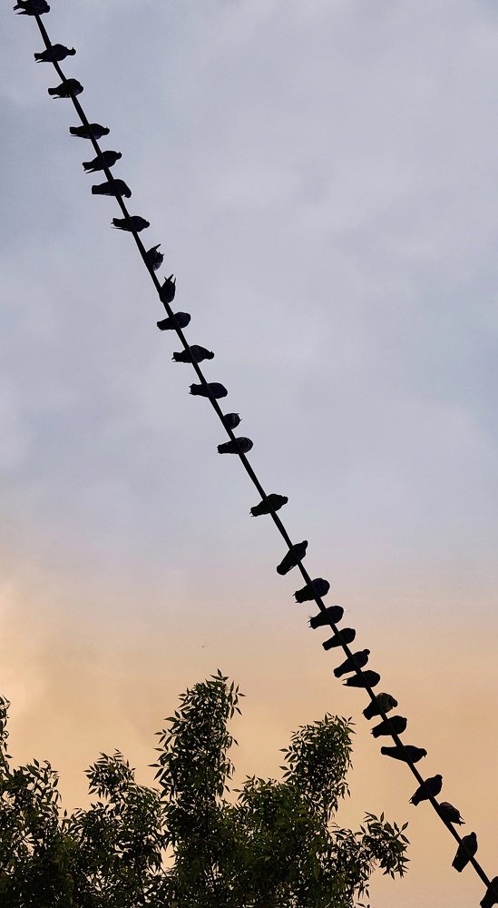 Photograph by Тимур