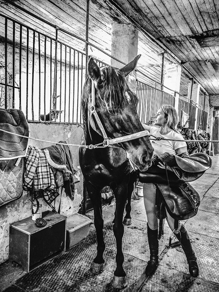 Несущие ветер