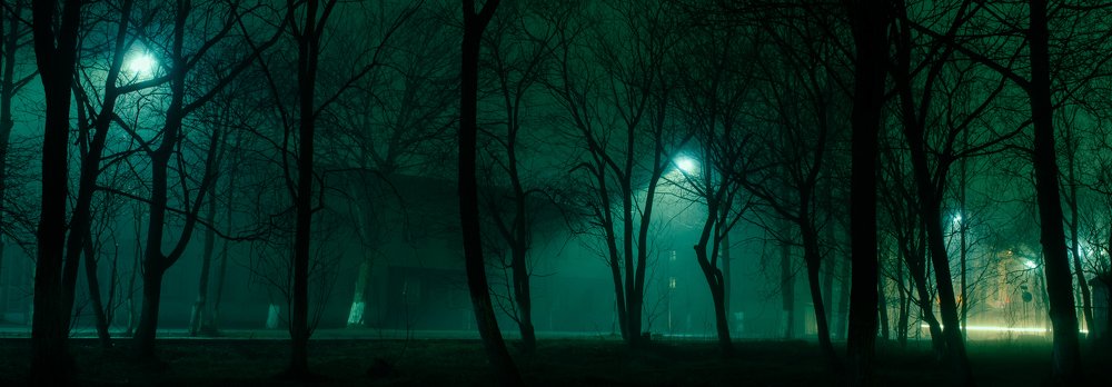 Photograph by Виталий Курин