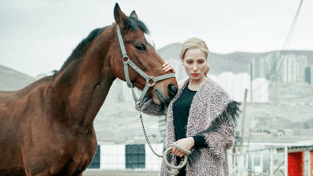 Photograph by Alireza Nejatpour