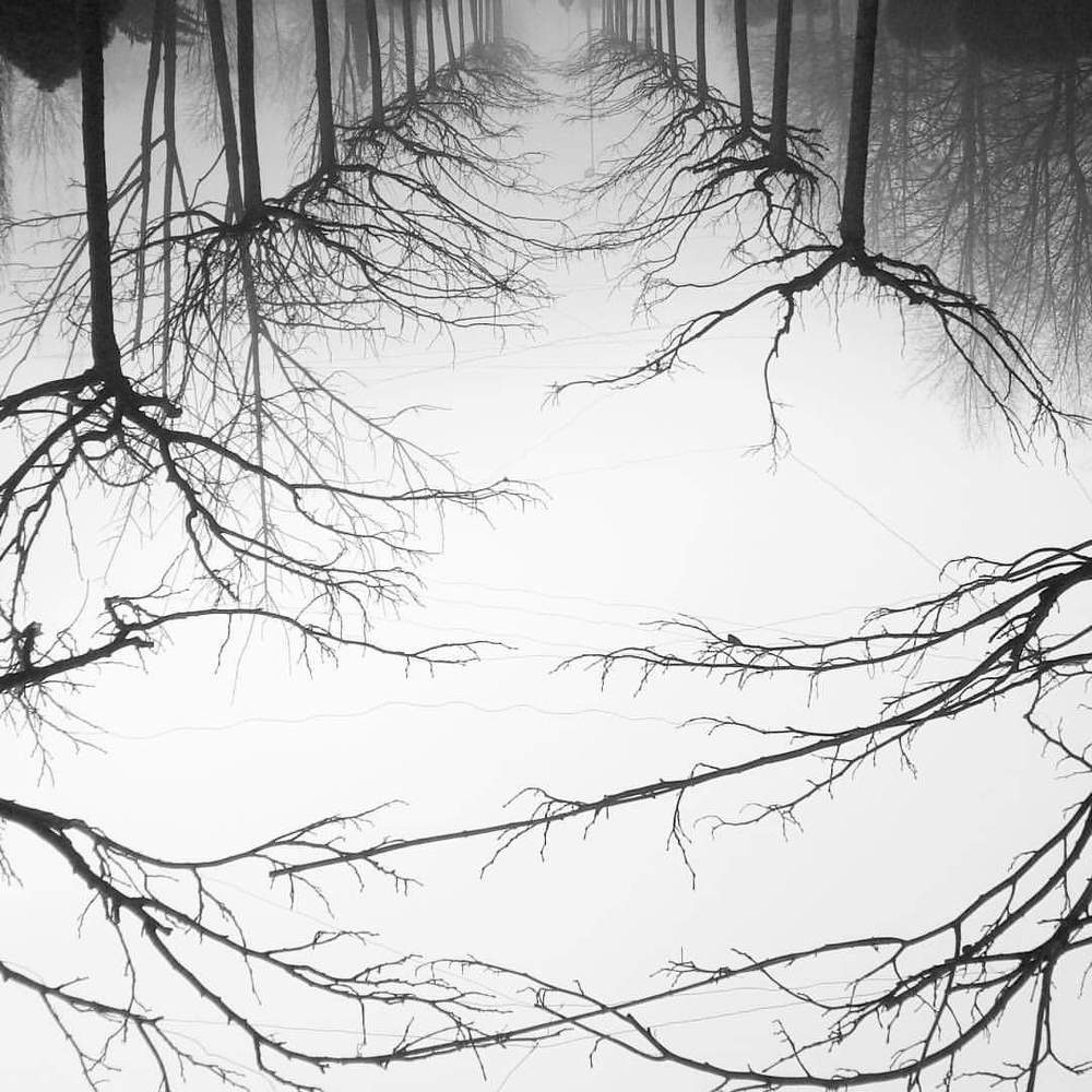 Photograph by олеся юрханова