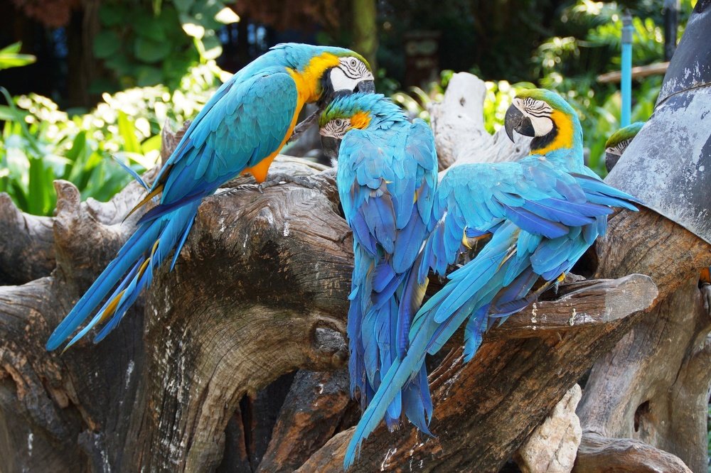 Photograph by Андрей Елькин