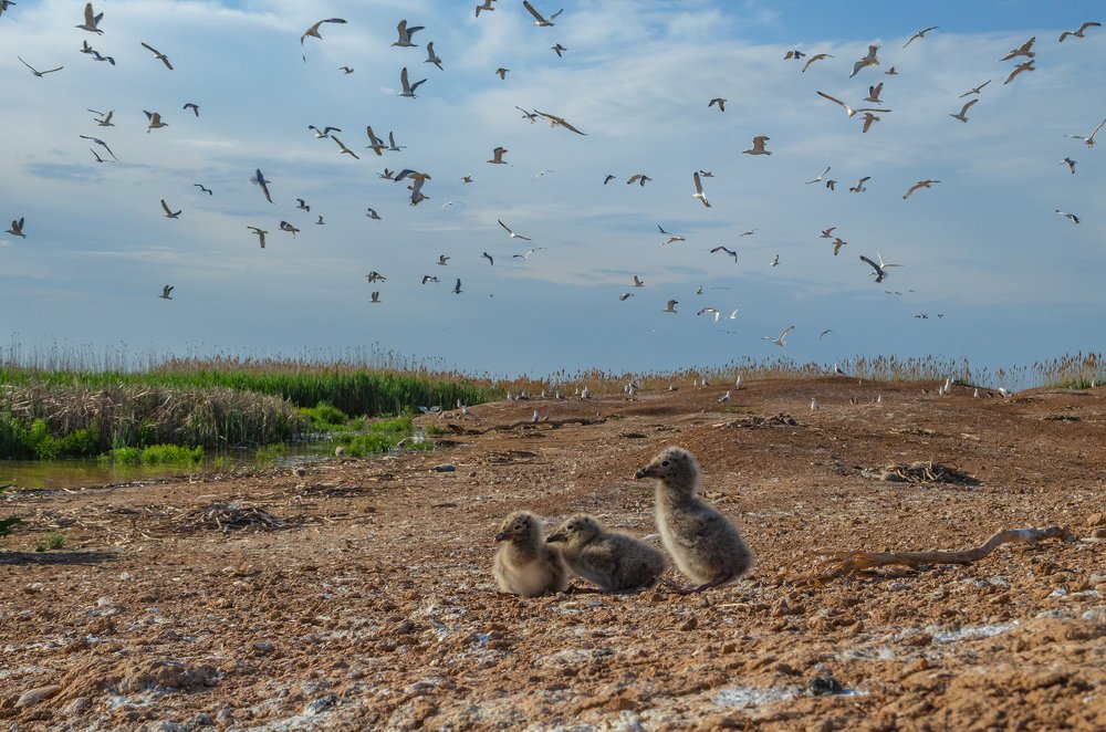 Photograph by Алексей Кашин