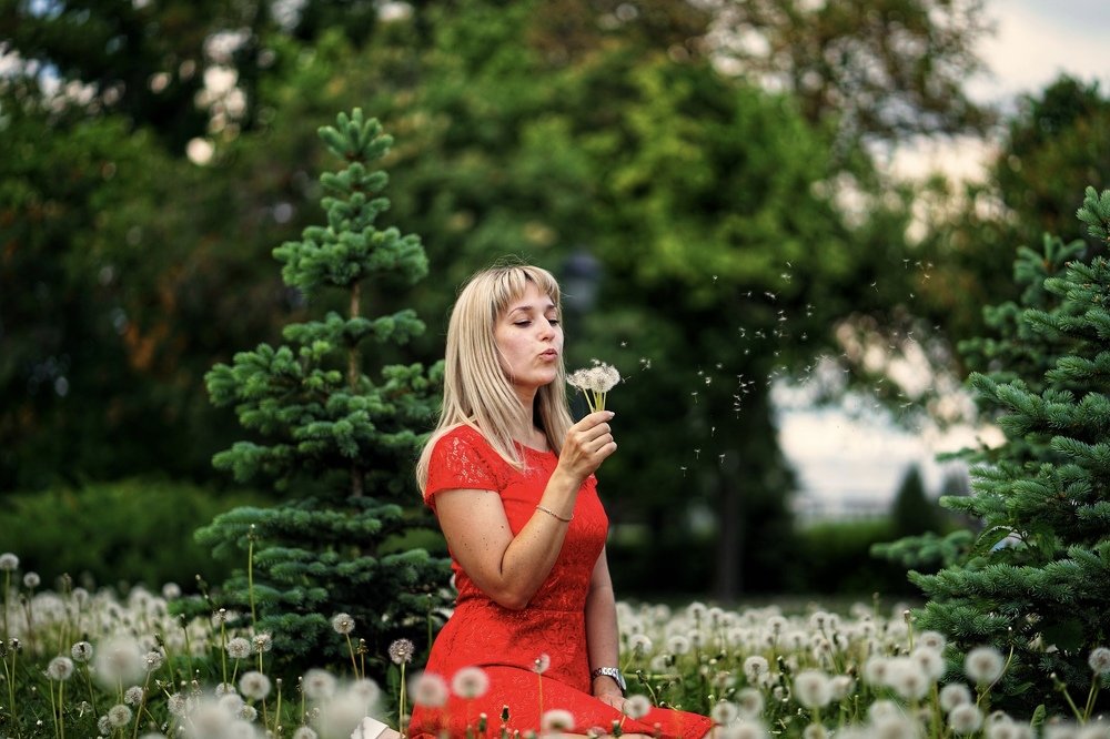 Юля и одуванчики