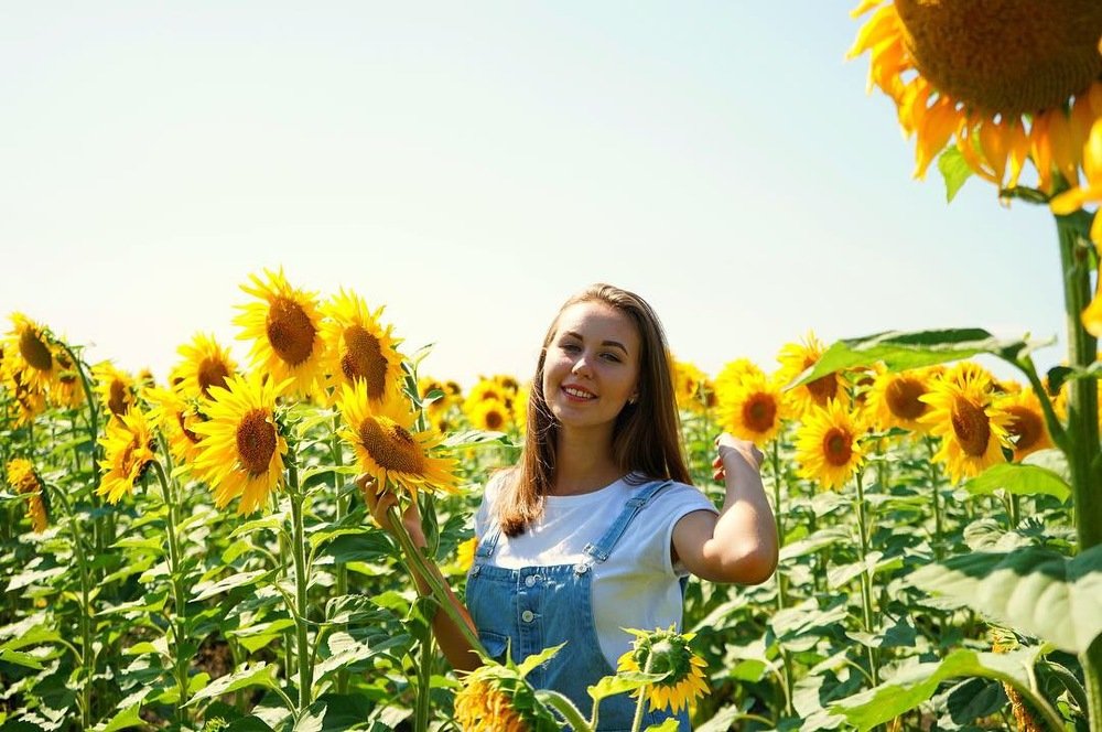 Солнечное "всё"