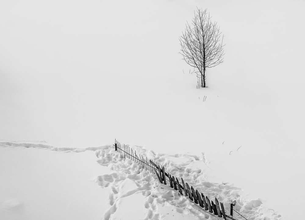 одиночество