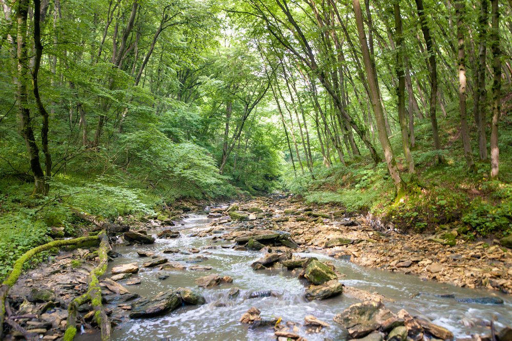 Photograph by Антон Скоморохов