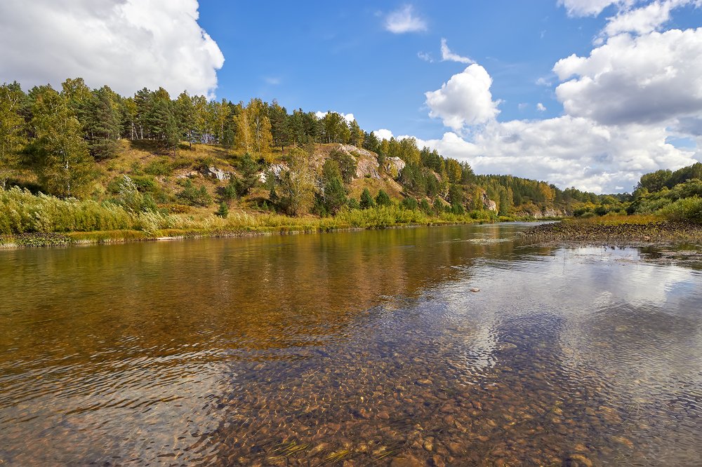 Золотой Китат.