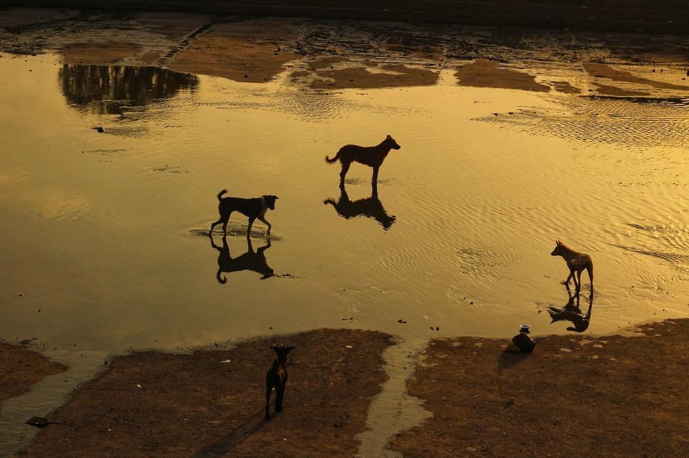 Stories of reflection